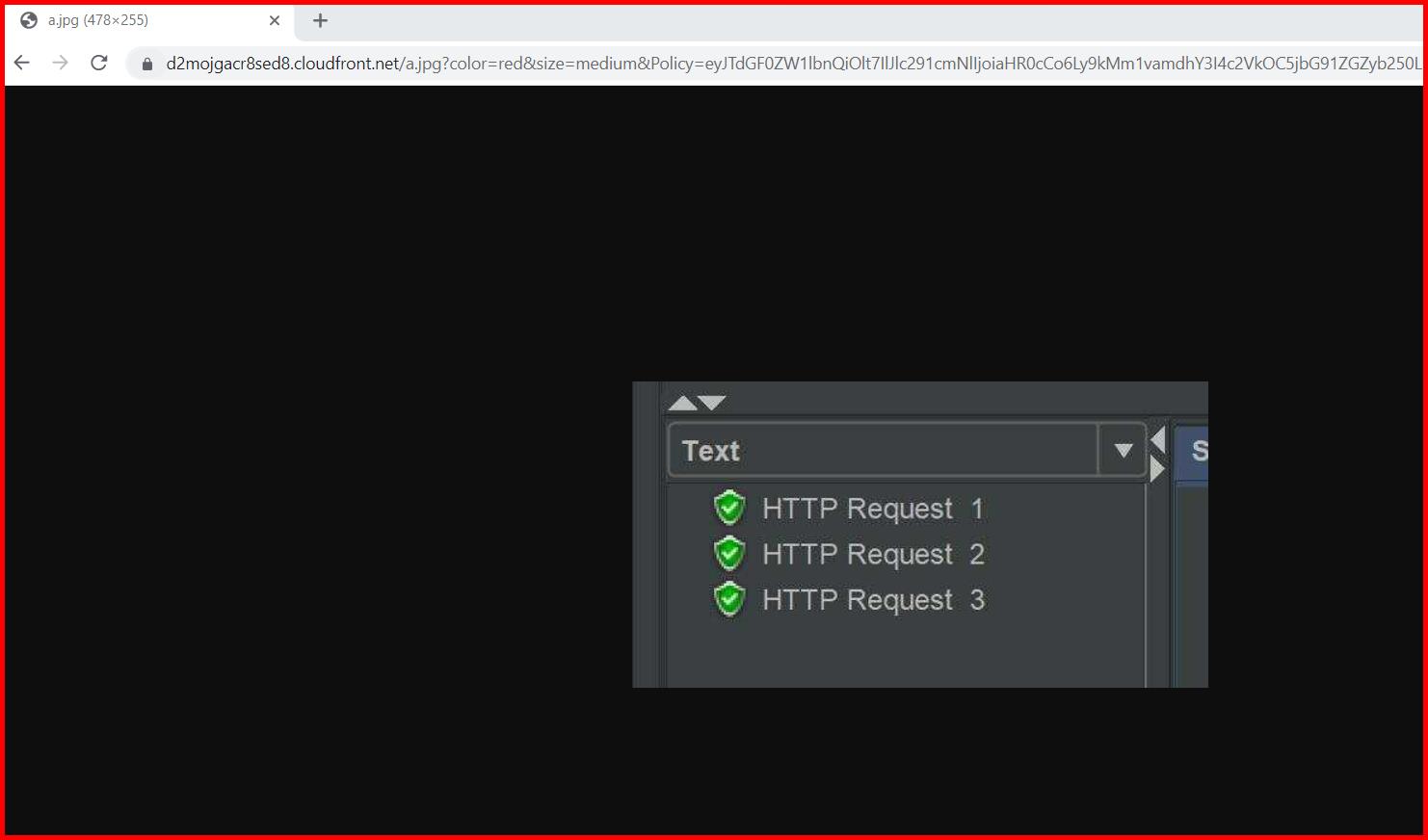 Picture showing the output of Signed cookies in AWS cloudfront